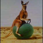 @adambegin - Instagram
