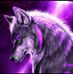 Sabour Adam Becher - Facebook