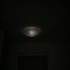 Adam Behm - @reptile90 - TikTok