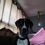 Adam Beitz - Facebook