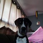 Adam Beitz - @beitzadam - Instagram