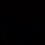 Adam Bella - @adbel06 - Instagram
