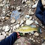 Adam Bellows - Facebook