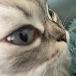 Adam belyavskiy - @adam_belyavskiy - Instagram