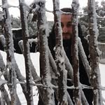 Adam Belyazid - @adambelyazid - Instagram