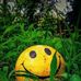 Biniyam Addam - Facebook