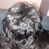 Adam Bennington - @adam.bennington7 - TikTok