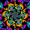 Adam Bertalot - @adambertalot - TikTok