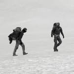 Adam & Billy - @the_wild_traveler - Instagram