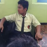 Adam Bingar - @adambingar - Instagram