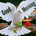 Adamu Attahiru Birih - Facebook
