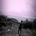 Adem Birol - Facebook