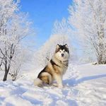Adam Bitar - @adam_bitarr - Instagram