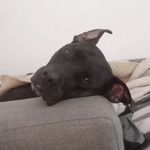 Adam bitterlich - @adambitterlich - Instagram