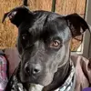 Adam Bitterlich - @adam.bitterlich - TikTok