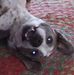 Adam Blackwell - Facebook