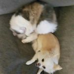 adam blain - @blainy100 - Instagram
