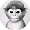 Adam Blain - @adamblain0 - TikTok