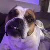 adamblaine - @13adamdonaldson - TikTok