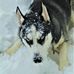 Adam Blaker - Facebook
