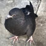 Adam Blanchard - @_adamblanchard_ - Instagram