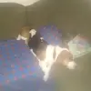 Adam Blanton298 - @rustyn2000 - TikTok