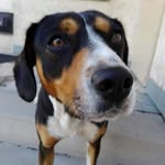Blaskovics Adam - @blaskovicsadam - Instagram