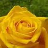 adamblaskowski83 - @adamblaskowski83 - TikTok
