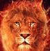 Adam Blatz - Facebook