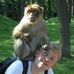 Adam Blau - Facebook