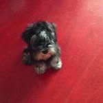 Adam Blecha - @adam.blecha - Instagram