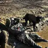 Adam - @adam.blevins_ - TikTok