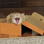 Adam Blevins - @adam_m_blevins - Instagram