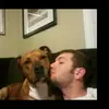 adambohler216 - @adambohler216 - TikTok