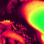 Adam Bones☠ - @fknadam_bones714 - Instagram