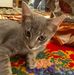 Adam Bouthrouit - Facebook