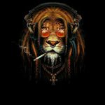 Adam - @adam_boss_borba - Instagram