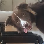 Pâte Adam - @adam.bourret.7 - Instagram