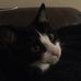 Adam Bowen - Facebook