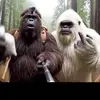 adam_bowers75 - @adam_bowers75 - TikTok