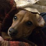 Adam Bowers - @adambomb05 - Instagram