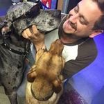 Adam Bowers - @adambowersva - Instagram