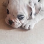 Adam_boysen :3 - @adam.boysen - Instagram
