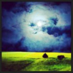 Adam Branson - @2muchswaga - Instagram