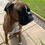 Adam Branson - @branson_adam - Instagram