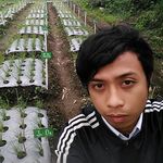 adam bravo - @adambravonoya - Instagram