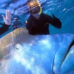 Adam Brazier - @adam.brazier.33 - Instagram