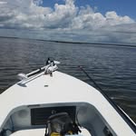 Adam Brick - @adambrick - Instagram