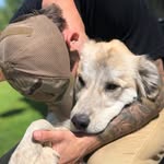 Adam Britton - @adam.britton.984 - Instagram