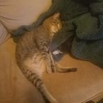 Adam Bronson - @adam.bronson.395 - Instagram